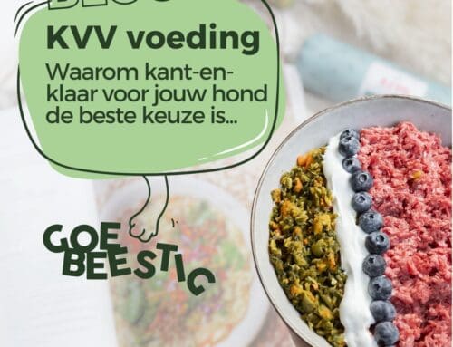 Waarom KVV Voeding de Beste Keuze Is voor Jouw Hond