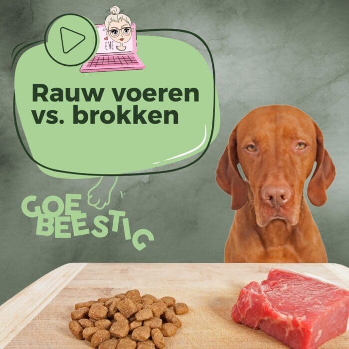 Webinar Rauw voeren